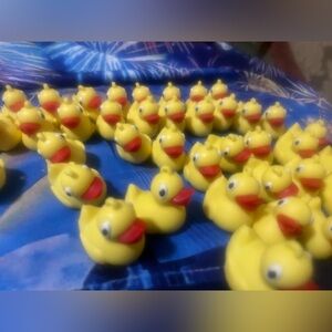 Lot of 40 Yellow Rubber Ducks Pencil Sharpeners NEW